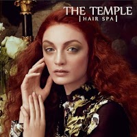 The Temple Hair Spa 1097933 Image 8